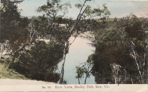 No.351. River Yarra, Studley Park, Kew, Vic.