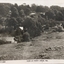 View at Ferny Creek, Vic