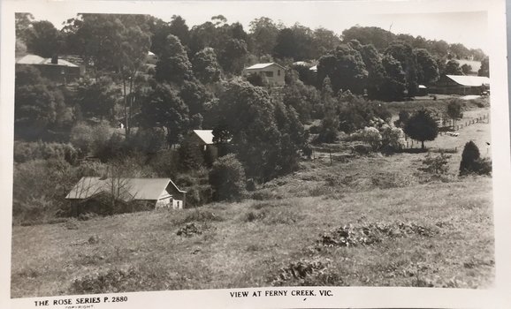 View at Ferny Creek, Vic