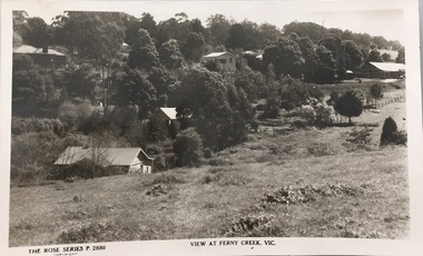View at Ferny Creek, Vic