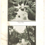 Yarra Falls, The Yarra at Studley Park