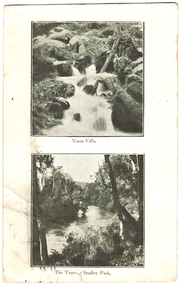 Yarra Falls, The Yarra at Studley Park