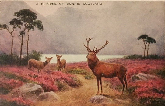 A Glimpse of Bonnie Scotland