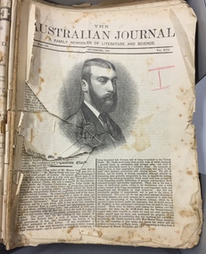 The Australian Journal : a family newspaper of literature and science, 1881-83