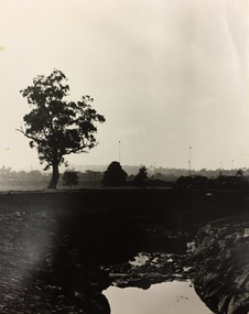 Eastern Freeway from Hays Paddock, Kew