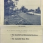 Executor's Auction, Sunday 24th October 1931, "Goldthorns", Normanby Road, Corner of Argyle Road, Kew