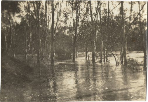 Floods of the River Yarra at Kew, 1916