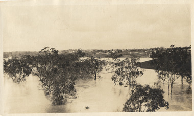 Floods on the River Yarra at Kew, 1916
