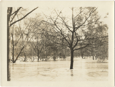 Flood, River Yarra, Kew, 1916