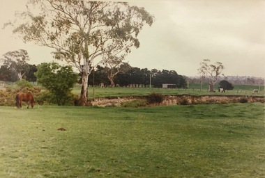 Hays Paddock, East Kew, 1975