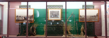 Farming in Kew, Kew Library, 2014