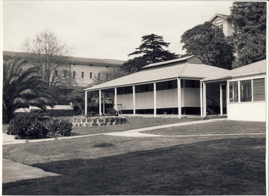 Photograph, Willsmere, Ward F9, 1972, 1972