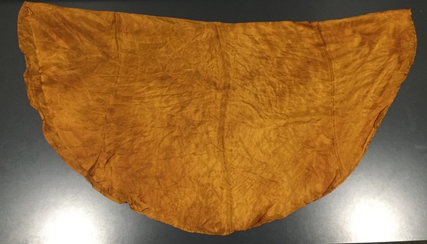 Circular Shot Silk Textile