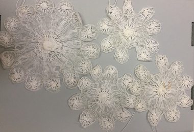 Doily