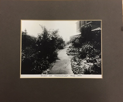 Snow at Hallatrow, Aug 1899