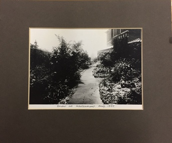 Snow at Hallatrow, Aug 1899