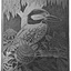 Kookaburra and Waratah