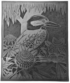 Kookaburra and Waratah