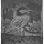 Kookaburra and Waratah