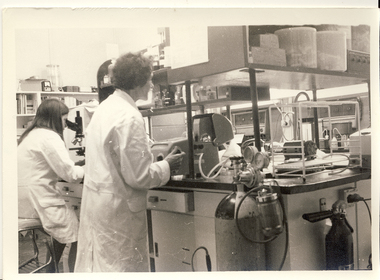 Photograph, Centenary Celebrations, Willsmere [Kew] Mental Hospital, 1972, 1972