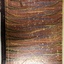 Auburn Heights Tennis Club Minute Book, 1904-1916