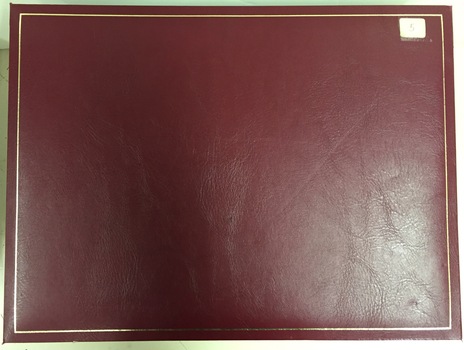 A Photographic Record of Kew Heights Following its Formation in May 1998