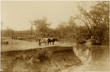 Photograph, J F C Farquhar, The Yarra in Hyde Park, 1891