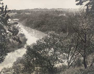 View of Yarra from Cliffs, Studley Park