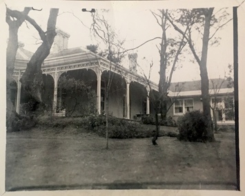 'Turinville', Barnard Grove