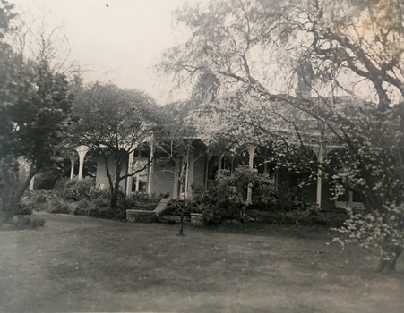 'Turinville', Barnard Grove
