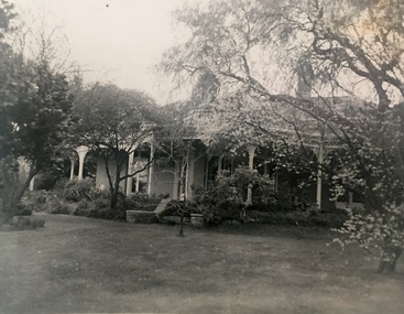 'Turinville', Barnard Grove