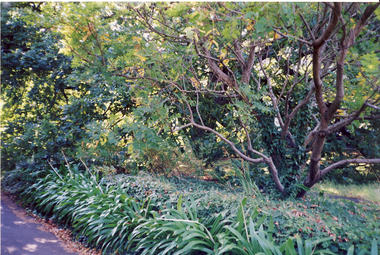Former Convent of the Good Shepherd, Abbotsford