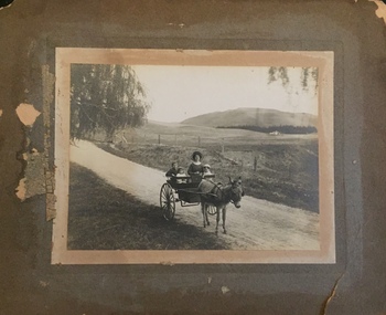 Family group in buggy