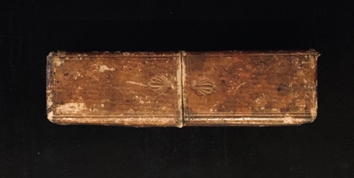 Functional object: Brass Sovereign Rocker Coin Scale