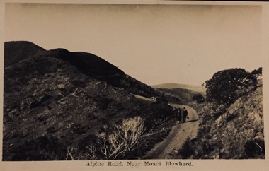 Alpine Road Near Mount Blowhard