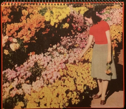 Melbourne in Carnival Mood - Appointment Calendar for 1959