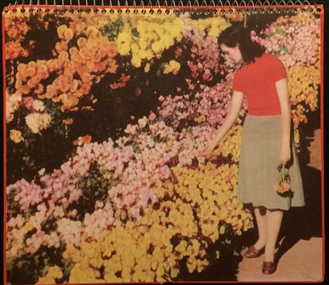 Melbourne in Carnival Mood - Appointment Calendar for 1959
