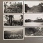 Photo Album - Page 37 - 'Omeo to Wills [sic]'