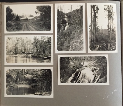 Photo Album - Page 38 - 'Toolangi'