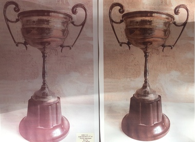 Kew Cricket Club Sub-district 2nd XI Trophy 1938-9