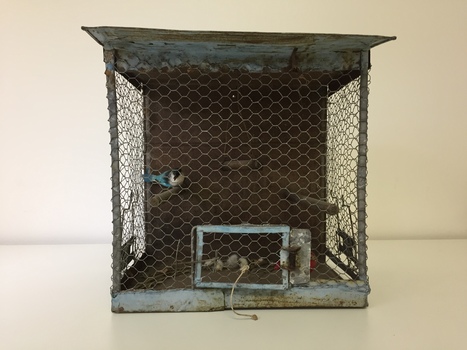 Functional object: Bird cage