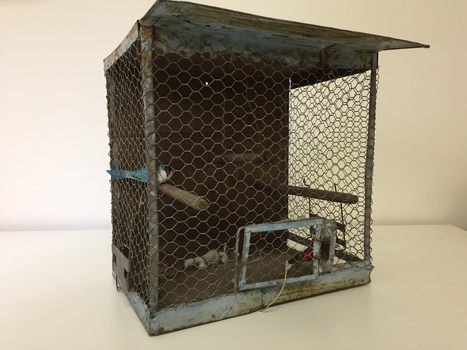 Functional object: Bird cage