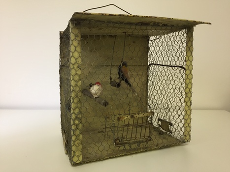 Functional object: Bird cage