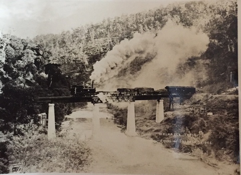Postcard: Walhalla Train Crossing Thomson Bridge