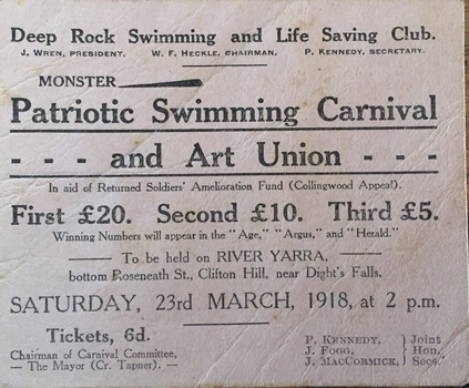 Flyer: Monster Patriotic Swimming Carnival and Art Union
