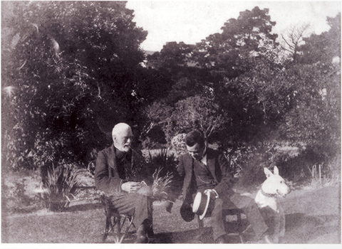 Photograph: Henry and Bruce Hedderwick