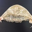 Accessory: Baby's bonnet
