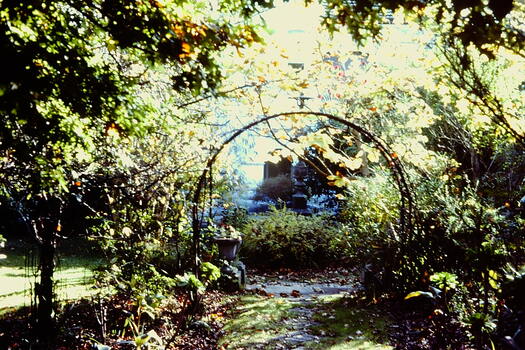 Garden, 'Yarra Bluffs', Redmond Street