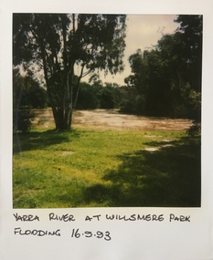 Yarra River in flood at the Willsmere Park