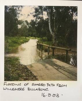 Flooding in the Willsmere Park
